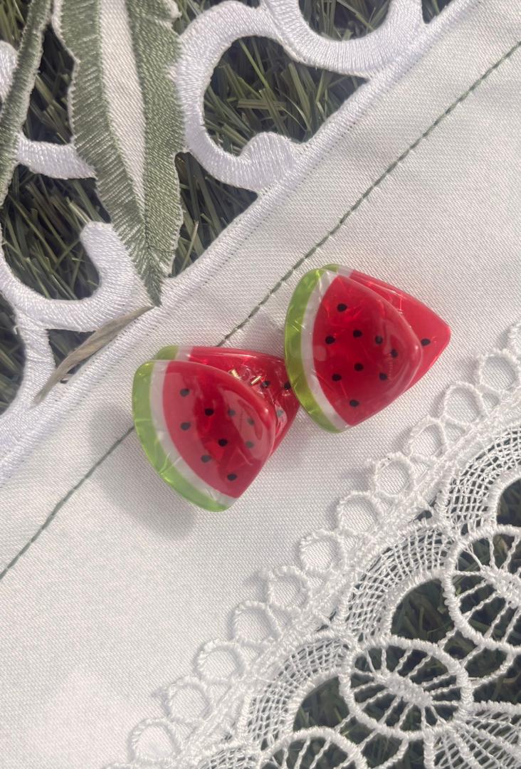 Watermelon Hair clips