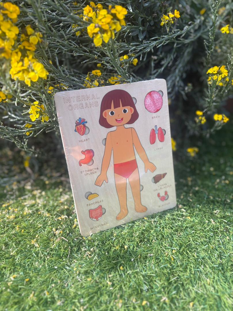 Montessori Wooden Anatomy - Girl